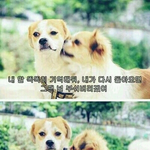 그때 널 부숴버리겠어 시리즈