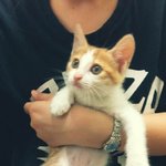 <b>숭이</b>를 소개합니다~!!!!!!!!!나만보기 아까워!!ㅠㅠㅋ 사진많이...