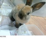 야 이거 <b>정체</b>가 뭐냐??