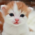 보육<b>교사</b>에 대한 모든 정보