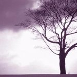 내 옛날이야기1-<b>무당</b>할머니**