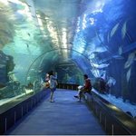 해운대 옆에 있는 달맞이 공원 산책