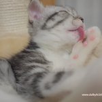 앙즈와유즈뽕 잠수 탄건가,,,,,,,,,,,,,,,,,,,,,,...