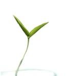 [닥스트림]여성이 남성보다 오래 사는 것이 엄마의 저주라네요!!