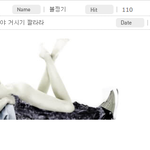그럼 이게 <b>공홈</b>테러지 뭔데?