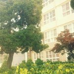 저희 학교를 소개합니다