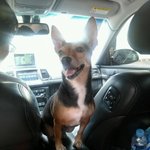 4살로 보이는 11살 우리 <b>할미</b> (미니핀믹스판)