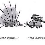 *수정]좋아해주는사람 <b>or</b> 좋아하는사람과 연애를 한다면 행복지수