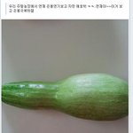 체조요정 손<b>연재</b>를 응원하는 귀여우신 울 엄니 ♥