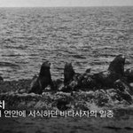 <b>독도</b>를 일본에게 줄 수 없는 이유