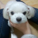 <b>분양</b>후 문제입니다.... 작은 팁이라도 부탁드립니다..꼭..