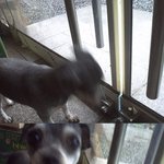 乃 개성넘치는 우리집개성이 乃