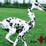 ■□■□■□■□■□■□■□개학이당 <b>bb</b>■□■□■□■□■□■□