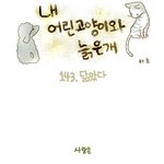 사람손을 무서워하는 <b>루루</b>..임보처 찾아요