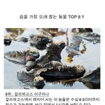 [<b>고퀄</b>]동물 폐활량순 topo 8 (출처: 오유)