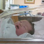 하나밖에 없는 사랑스러운 조카 소율이의 강남스타일~