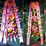 <b>vip</b> 뷰티 꺼몽꺼몽