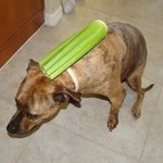 다이어트 시작한날에... (<b>번외</b>)