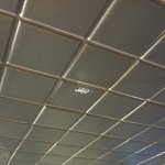 알바하다가 우담<b>바라</b> 봤음(사진 有