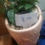 사진有느님)집앞에서 '<b>응답</b>하라1997' 촬영하는데 배우들밨어요!...