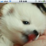 오빠는 뭉이 style.