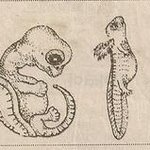과학의 사기꾼