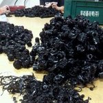 (사진有) <b>봉사</b>하러온 사람을 돈벌이로쓰는 주인