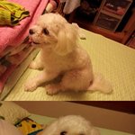 때론 순하고 때론 ㅈㄹ맞은 이뿐 사랑이♥