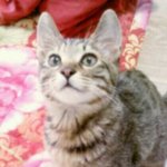 웅이에게 보내는 편지