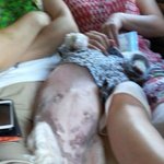 (※귀여움주의※)개팔자 사람팔자 "예나"