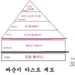 지방빠수니=<b>미생물</b>