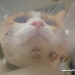 유봉이 앙즈의 여름방학생활기