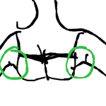 수정) <그림有>가슴이랑 생리대에 관한 질문입니다! 많은답변 부탁드려요...