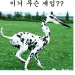 여러분 <b>이새</b> 이름이뭐엿죠??????????????????????...