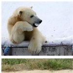 섹시한 응딩이 <b>패티</b>쉬