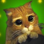 나는야 맨날 시트콤찍는뇨자