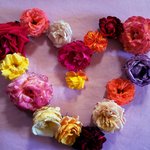 ■나의 사랑중독 유형 알아보기! test■