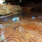 다시 못 갈 곳 “부천 워터조이”