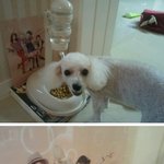 **소녀시대 책받침의 <b>유용성</b>....