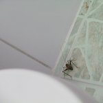 이 아이의 정체는 무엇일까요......ㅜㅜ