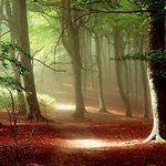 [사진有] 혼자 떠나는 생애 첫 해외여행! - 8편