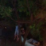 술먹고 싸우지도.길에서 주무시지도마세요 위험해요 (사진첨부)