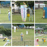 [미식여행 Part 2.]진도 이야기: 진도개사업소,운림산방,신비의...