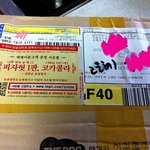 악마견과 천사견 이야기 이후 [감동의선물]