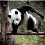 아시발 나 <b>투명</b>인간인가...