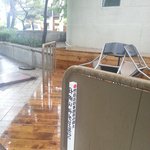 직접 본 독도<b>말뚝</b>