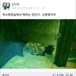 클럽가면 이런거 자주 볼수있음?