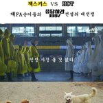 젝스키스vshot 개빠순이들의 <b>90</b>년대 전설의 대전쟁 ! ! !