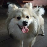 4탄!!우리아가<b>말복</b>이에요♥(완전 오랜만에^^;)