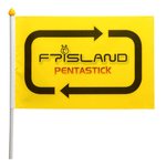 ※ftisland(<b>ft</b>아일랜드) 공식응원도구 펜타스틱(깃발)※